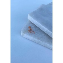 Jaida Moda Kadın Rose Zirkon Taşlı Tragus Helix Kıkırdak Çelik Piercing