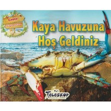 Teleskop Kaya Havuzuna Hoş Geldiniz