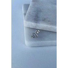 Jaida Moda Unisex Gümüş Yılan Figürlü Kıkırdak Helix Kulak Piercing