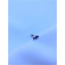 Jaida Moda 316L Cerrahi Çelik Balık Figürlü Tragus Helix 6mm Piercing