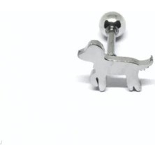Jaida Moda 316L Cerrahi Çelik Fino Köpek Tragus Helix 6mm Piercing