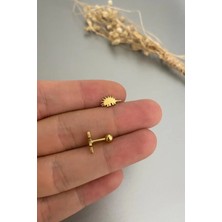 Jaida Moda Unisex Çelik Kirpi Figürlü Tragus Helix Piercing