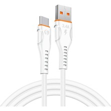 Negok S-Link SL-X203 1 Metre 12W 2.4A Type-C Güvenli Hızlı Data + Sarj Kablosu