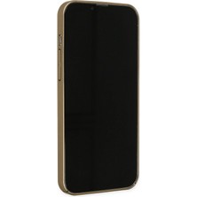 No35 Newface Iphone 13 Pro Kılıf Jack Magneticsafe Lens Silikon - Gold