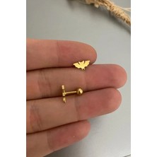 Jaida Moda Unisex Çelik Yarasa Figürlü Tragus Helix Piercing