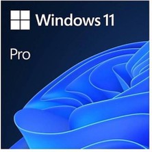 Dukkanıum Microsoft Windows 11 Pro 64BIT Türkçe Kutu HAV-00159 Kutulu Işletim Sistemi