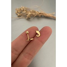 Jaida Moda 316L Cerrahi Çelik Gold Biber Figür Tragus, Kıkırdak, Helix 6mm Piercing