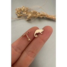 Jaida Moda 316L Cerrahi Çelik Rose Bukalemun Figür Tragus, Kıkırdak, Helix 6mm Piercing