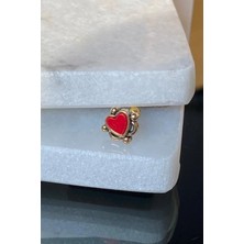 Jaida Moda Kadın 316L Cerrahi Çelik Kırmızı Kalp Figür Tragus Helix piercing
