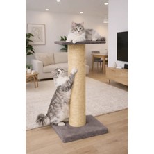 Turkuaz Tırmalama TR171   Dev Tırmalama tahtası