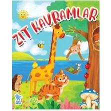 Minik Damla Zıt Kavramlar