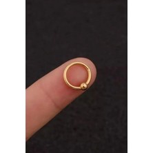 Jaida Moda Unisex Gold Top Uçlu Menteşeli Helix,rook,tragus Piercing