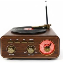 Stylmenplus Everton RT-1317BT Bluetooth Usb-Micro Plak Radyo