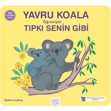 1001 Çiçek Kitaplar Yavru Koala Öğreniyor Tıpkı Senin Gibi