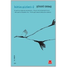 Kırmızı Kedi Yayınevi Bütün Şiirleri 2