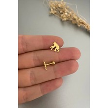 Jaida Moda Unisex Çelik Maymun Figürlü Tragus Helix Piercing