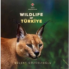 Tübitak Yayınları Wıldlıfe Of Türkiye