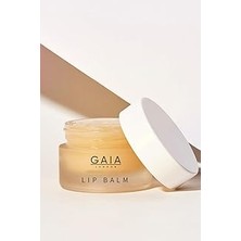 SHC4200 Lip Balm Nemlendirici Etkili Dudak Balmı Lip Balm 20ML