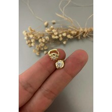 Jaida Moda Kadın Gold Zirkon Taşlı Çelik Halka Tragus,helix Piercing