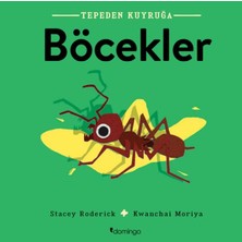 Domingo Yayınevi Tepeden Kuyruğa - Böcekler