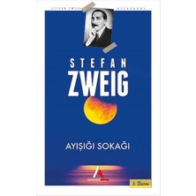 Aperatif Kitap Yayınları Ayışığı Sokağı