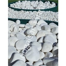 Dolomit Taş 4 kg 6-10 cm Dere Taşı Çakıl Taşı Saksı Taşı Akvaryum Teraryum Taşı Bahçe Taşı