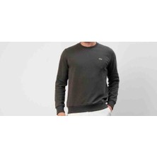 Lacoste Bisiklet Yaka Regular Fit Haki