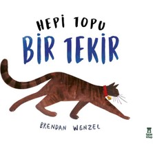 Taze Kitap Hepi Topu Bir Tekir