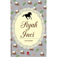 Peta Kitap Siyah Inci
