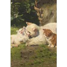 Kitabevi Kedi Ailesi 13,5X19,5CM Çizgili Defter 128 Sayfa