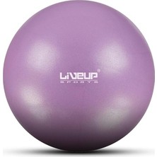 Pilates & Yoga Ürünleri LS3225 Mını Ball Pınk 20CM Liveup 20CM Mini Pilates Topu Pembe