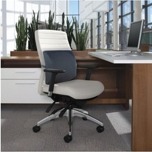 Ortopedik Ofis Koltuk Sandalye Bel Destek Yastık Minderi Sırt Dayama Yastığı