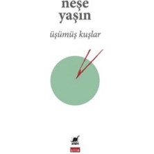 Ayrıntı Yayınları Üşümüş Kuşlar