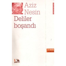 Nesin Yayınları Deliler Boşandı