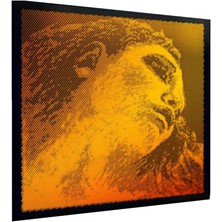 EVA415091 Evah Pirazzi Keman Altın Seti, Gümüş G, 0,6 x 10,2 x 10,2 cm