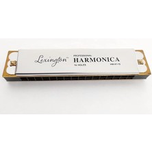 LMHM0116 Mızıka 16 Delik Profesyonel Harmonica Kutulu