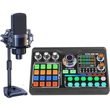 Podcast Mikrofon Ses Kartı Kiti Pc Smartphone Dizüstü Bilgisayar Içiin Vlog Kayıt Canlı Akışı Youtuber Yayıncılara Uygun P300 (P300)