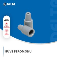 Delta Güve Feremonu