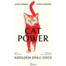 Kedilerin Şifalı Gücü