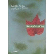 Mayıs Yayınları Şubatta Saklambaç