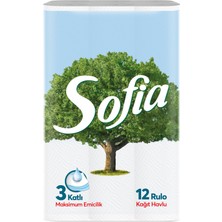 Sofia Havlu 12'li 5 Adet
