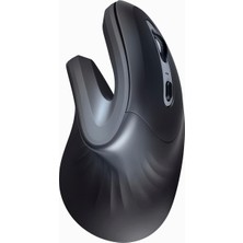 Hype Store Trust 23507 Verro Ergonomik Kablosuz Fare, 60° Dikey Açı (800-1600 Dpi, 6 Tuş) Bilgisayar ve Dizüstü