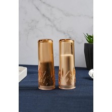 Feyza Design Şık 2’li Akrilik Tuzluk ve Biberlik Seti, 11 Cm, Amber Renk