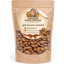 Darende Kayısı Dünyası Gün Kurusu Çekirdek 5 Kilogram - Malatya