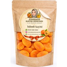 Darende Kayısı Dünyası Islimli Kayısı 5 Kilogram