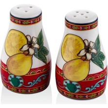 Feyza Design Renkli Tuzluk Biberlik Seti 4x8 Cm, Şık ve Pratik Mutfak Aksesuarı