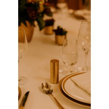 Feyza Design Paslanmaz Çelik Tuzluk, Şık ve Dayanıklı, 9cm x 3,5cm