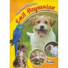 Teleskop Hayvanları Tanıyorum Evcil Hayvanlar