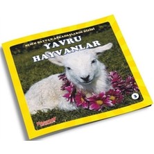 Yumurcak Yayınları Yavru Hayvanlar - Benim Hayvan Arkadaşlarım Dizisi 3