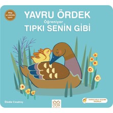 1001 Çiçek Kitaplar Yavru Ördek Öğreniyor Tıpkı Senin Gibi
